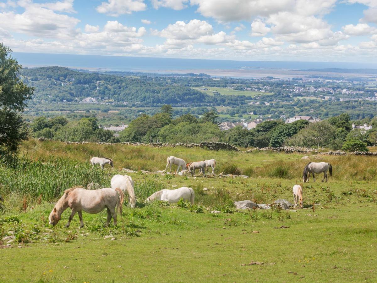 Holiday home Ffynnon Bach